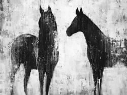 Black and white horses