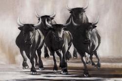 Group of running bulls