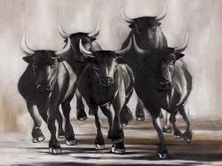 Group of running bulls