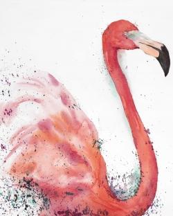 Splashing flamingo