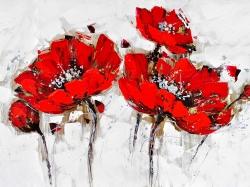 Abstract poppy flowers