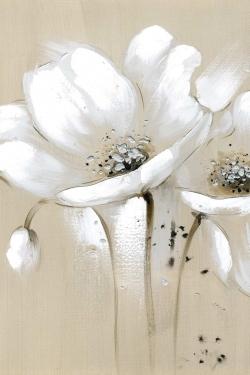 Fleurs sauvages blanches et abstraites
