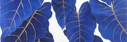 Tropical abstract blue leaves