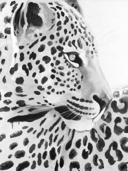 Magnifique léopard