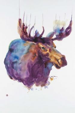 Abstract moose