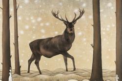 Roe deer in a winter landscape