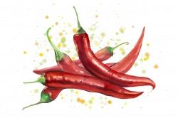 Piments rouges piquants