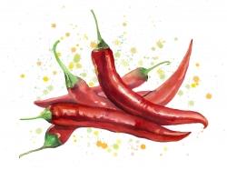 Piments rouges piquants