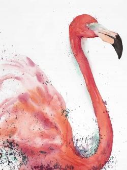 Splashing flamingo