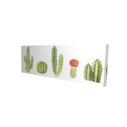 Watercolor small cactus set