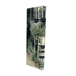 Magasin de plantes