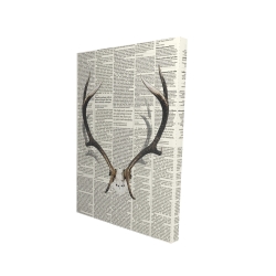 Deer horns with newspaper