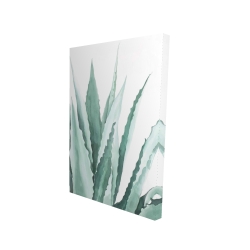 Plante d'agave en aquarelle