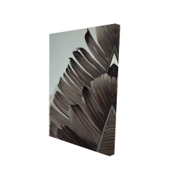 Feuilles tropicales en tons de gris