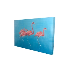 Four flamingos