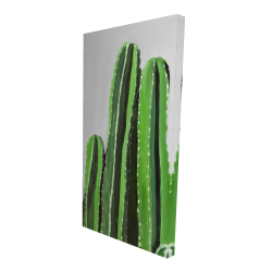 Cactus candles