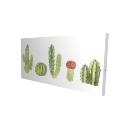 Watercolor small cactus set