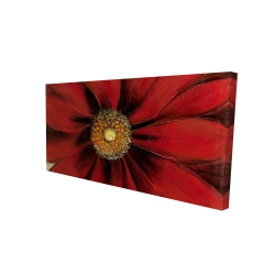 Red daisy