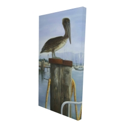 Pelican