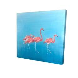 Four flamingos