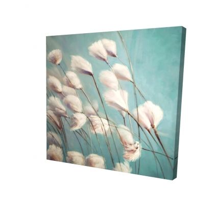 Cotton grass flowers in the wind