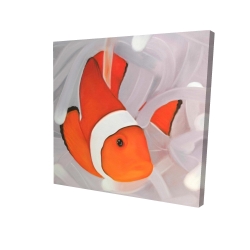 Poisson clown sous la mer