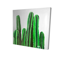 Cactus candles