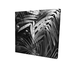 Feuilles tropicales monochrome