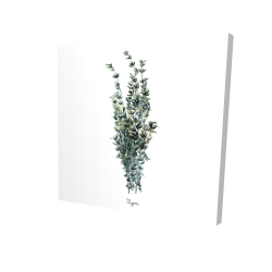 Thyme leaves bundle - fr