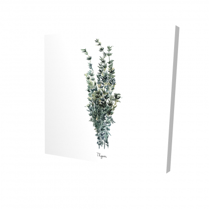 Thyme leaves bundle - fr