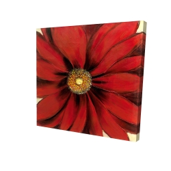 Red daisy