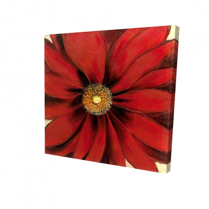 Red daisy