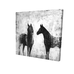 Black and white horses