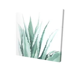 Plante d'agave en aquarelle