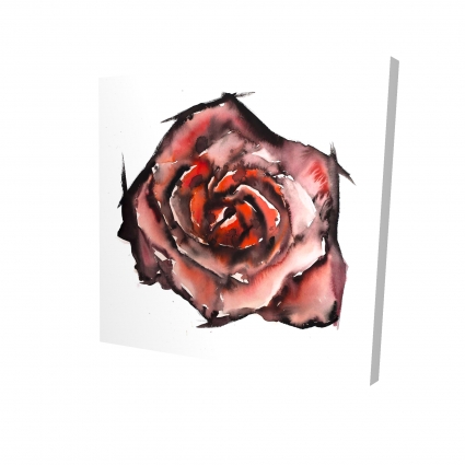 Watercolor rose