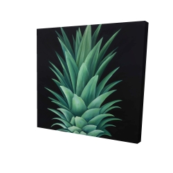 Pineapple leaves