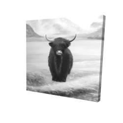 Monochrome highland cow