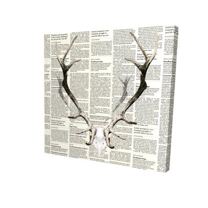 Deer horns on newspaper