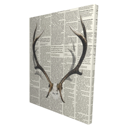 Deer horns with newspaper