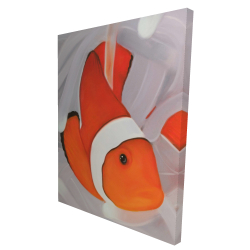 Poisson clown sous la mer