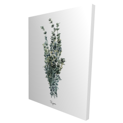 Thyme leaves bundle - fr