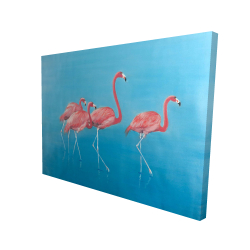 Four flamingos