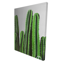 Cactus candles