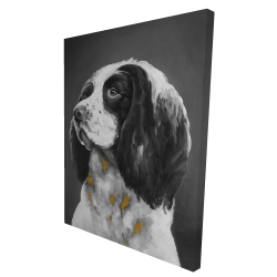 Chien springer spaniel anglais