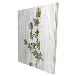 Thyme on wood