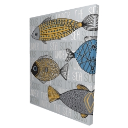 Fishes' illustration