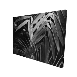 Feuilles tropicales monochrome