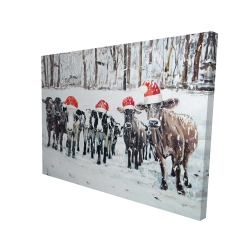 Vaches curieuses de noël