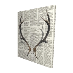 Deer horns with newspaper