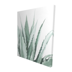 Plante d'agave en aquarelle